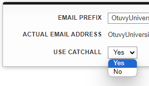 Screenshot: Creating a Custom Email Address