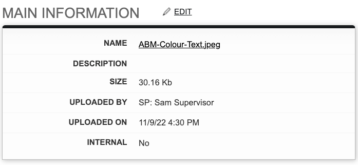 Screenshot: View File Details