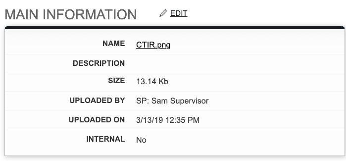 Screenshot: Edit the File Details